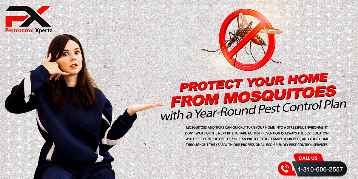 Protect Your Home from Mosquitoes with a Year-Round Pest Control Plan