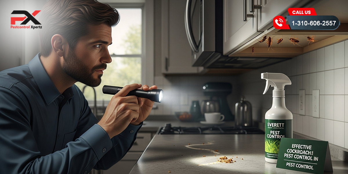Effective Cockroach Pest Control in Everett | Pest Control Xpertz