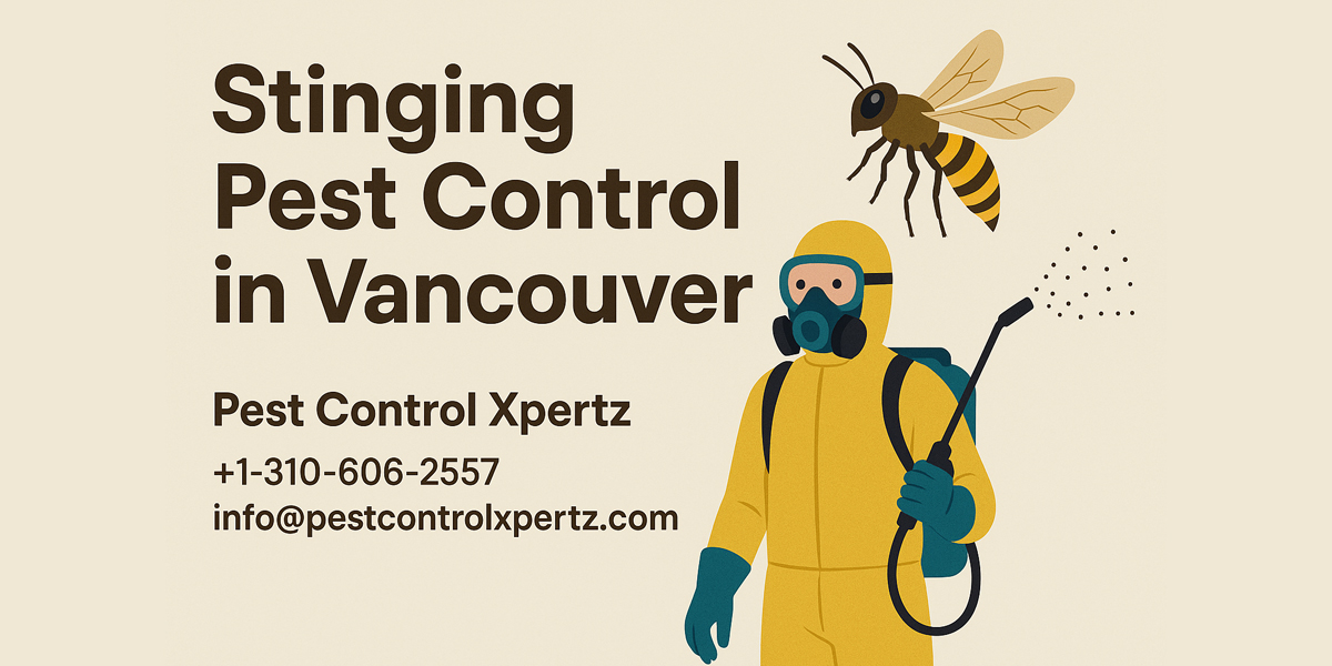 Stinging Pest Control in Vancouver | Expert Pest Control for Stinging Insects