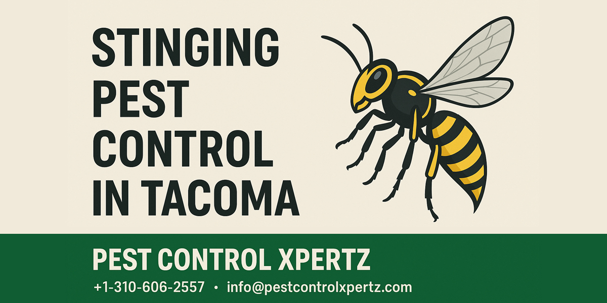 Stinging Pest Control in Tacoma | Best Pest Control for Stinging Insects – Pest Control Xpertz