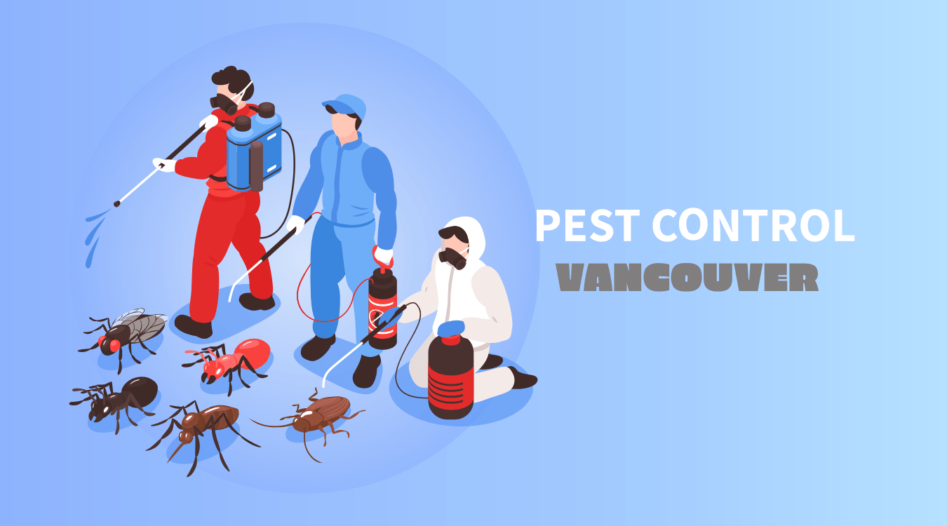Cockroach Pest Control in Vancouver | Professional Services by Pest Control Xpertz