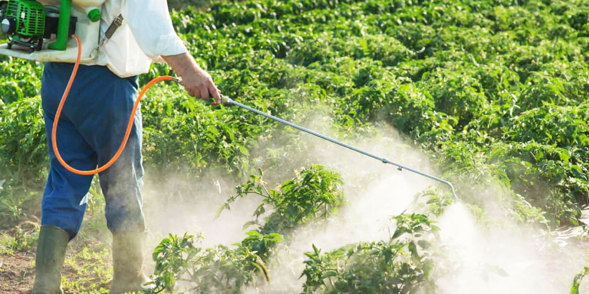 Stinging Pest Control in Kennewick | Pest Control Xpertz