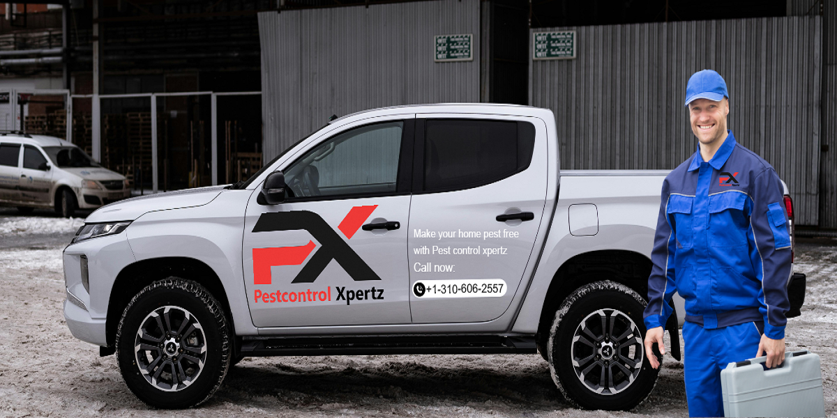 Expert Pest Control: Your Local Solution in Dover, Middletown, Newark, Hockessin, Bear, Brookside, and Glasgow