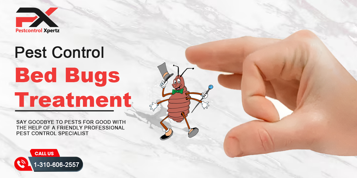 Bed Bug Pest Control Services | Effective Solutions for a Peaceful Sleep