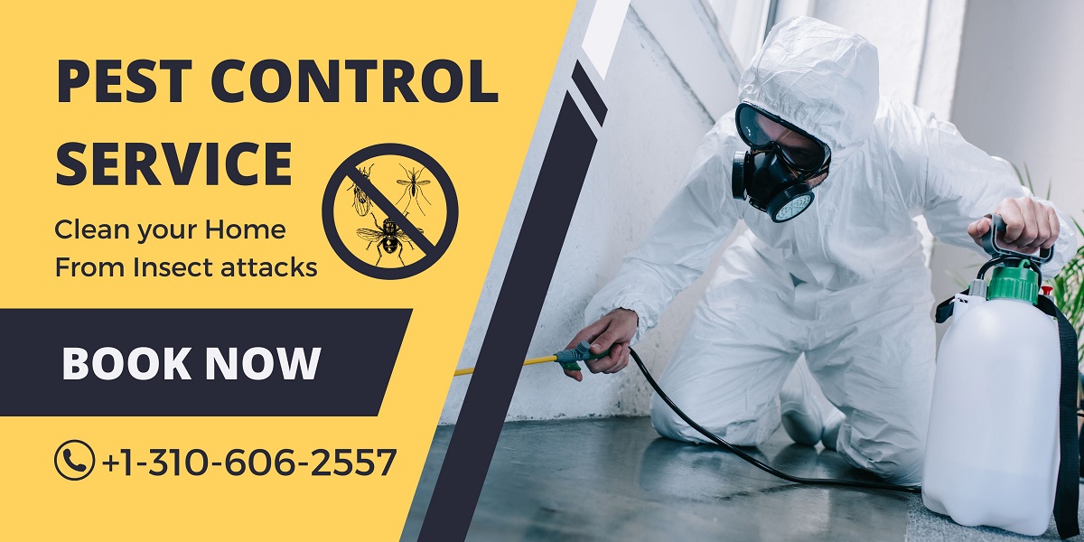 Why Regular Pest Inspections Matter: Protecting Your Home