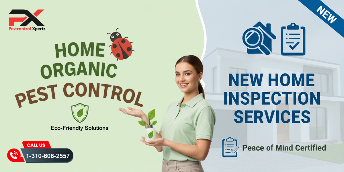 Home Pest Solutions in the USA – Your Partner for a Healthier Safer Home