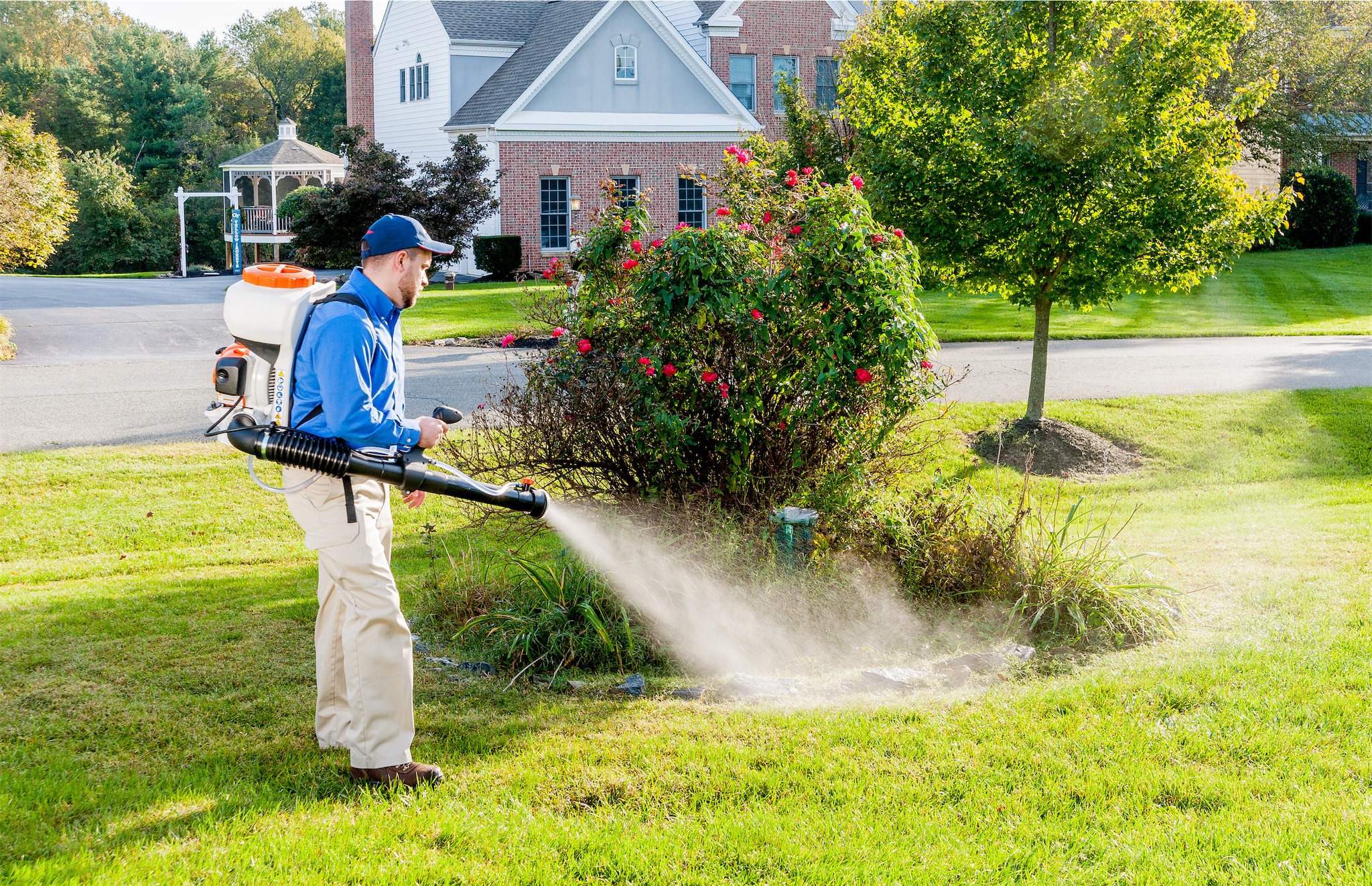 Best Pest Control in Washington | Pest Control Xpertz Services