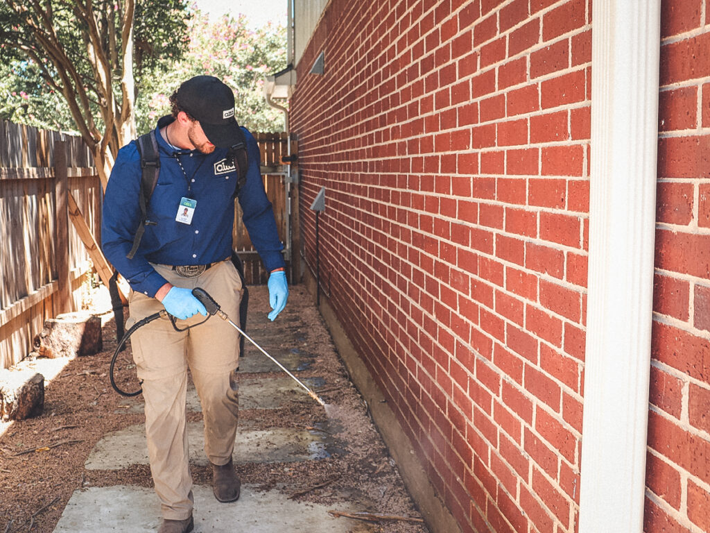 Comprehensive Guide to Pest Control in Seattle: Effective, Eco-Friendly, and Rapid Solutions