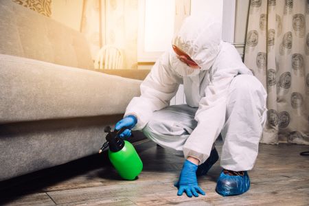 How Long Does Pest Control Take to Work? | Pest Control Xpertz Guide