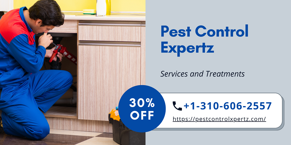 Pest Control Services in Newark