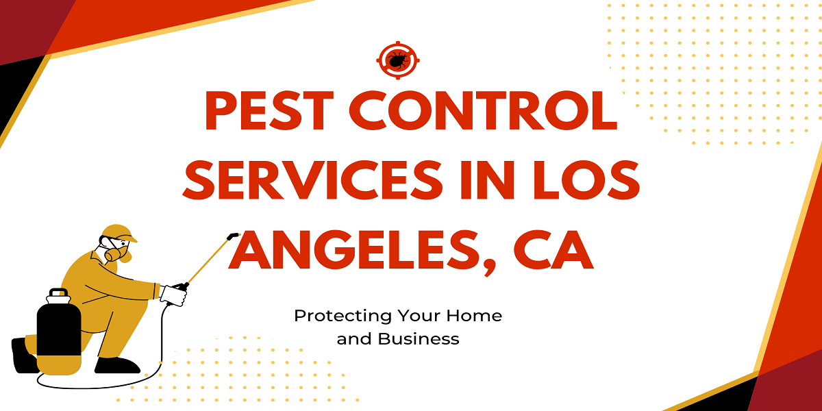 Pest Control Services | Bid Farewell to Unwanted Visitors