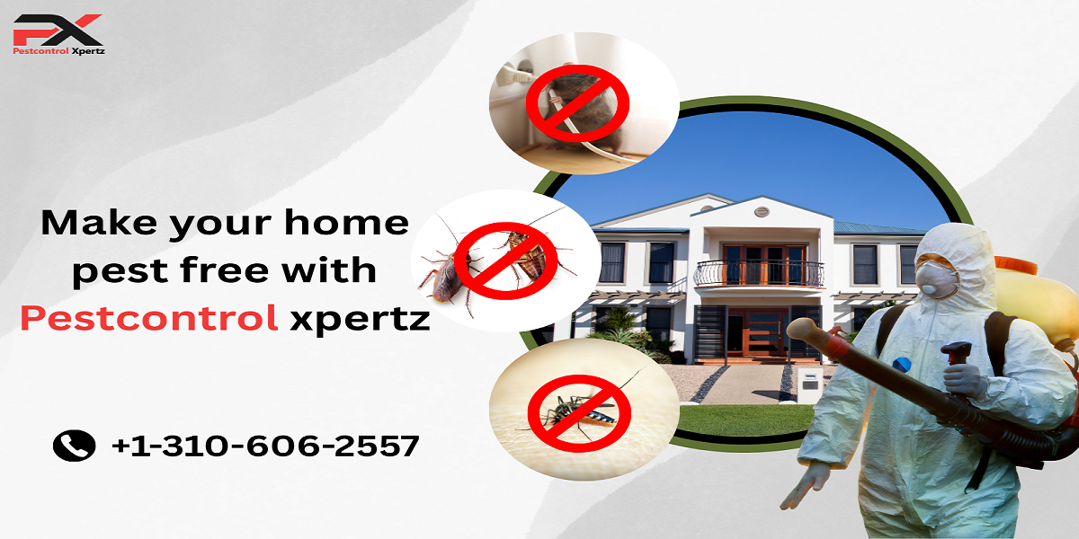 Pest Control Xpertz: Your Guide to a Pest-Free Home