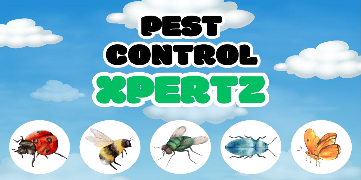 Pest Control Services in Middletown