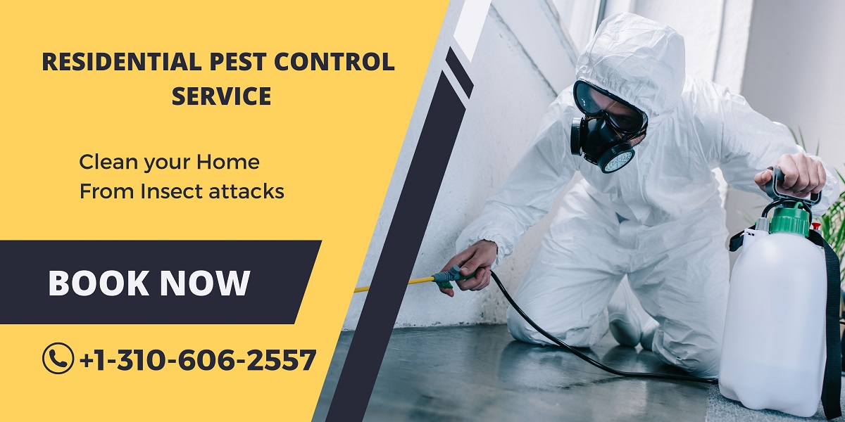 Residential Pest Control in Los Angeles: How Can You Keep Your Home Pest-Free?