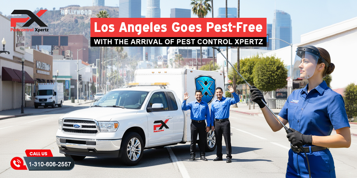 Los Angeles Goes Pest-Free with the Arrival of Pest Control Xpertz