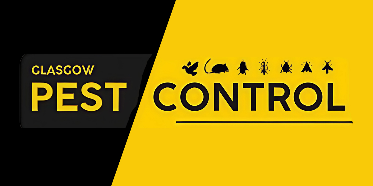 How Much Does Pest Control Cost in Glasgow?