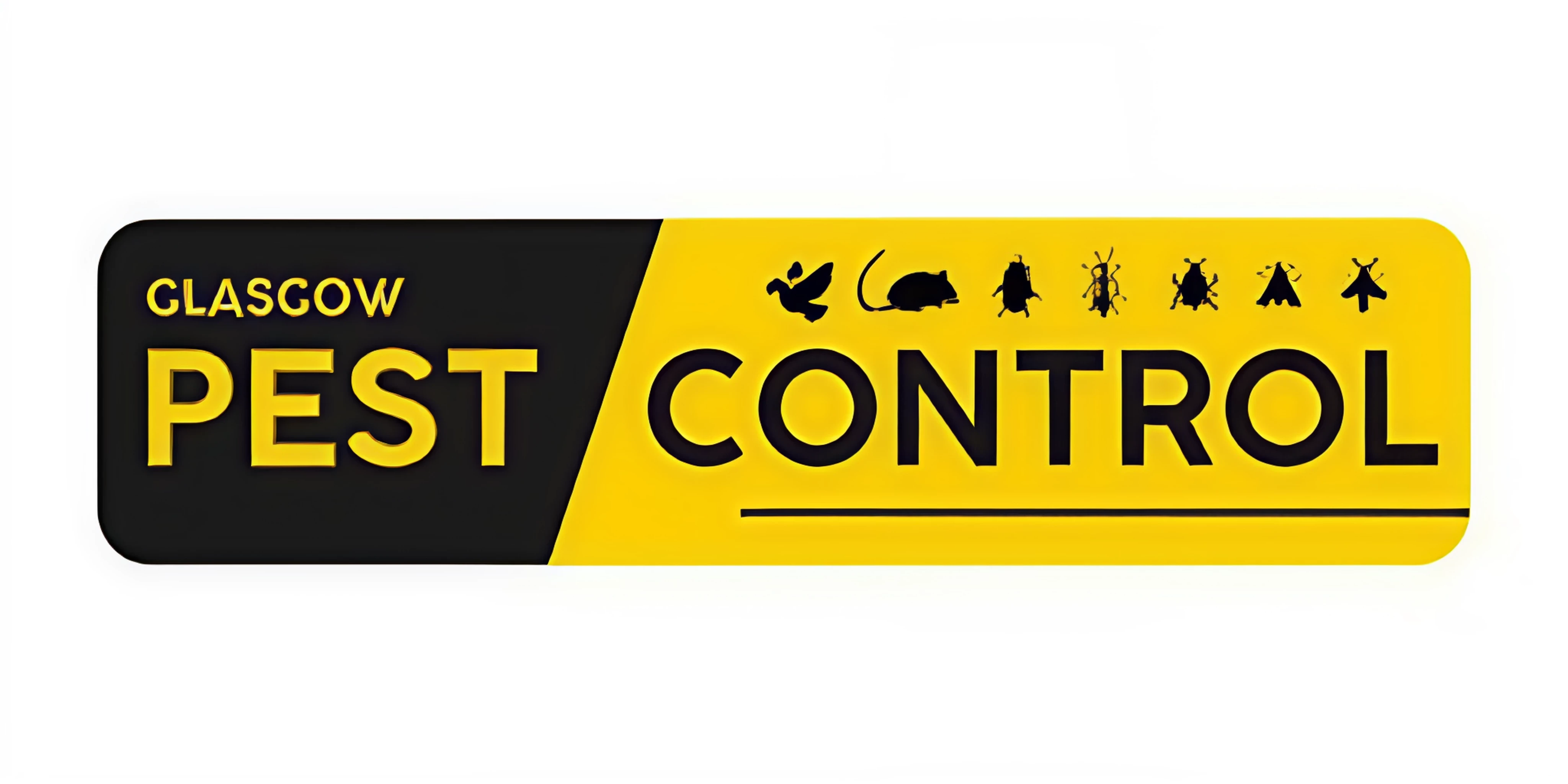 How Much Does Pest Control Cost in Glasgow?