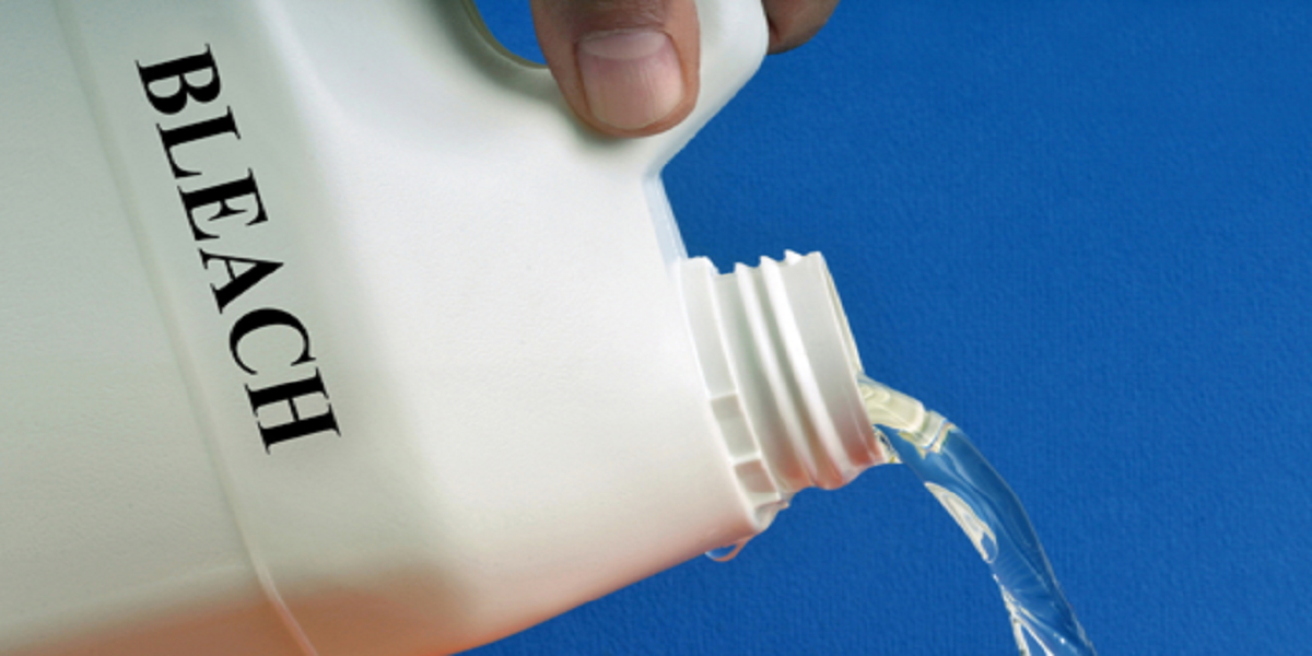 Does Bleach Kill Bed Bugs? What You Should Know First