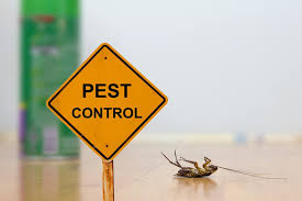 Prevent Pest Infestations & Bed Bug Control in Alexandria, VA | Pest Control Xpertz