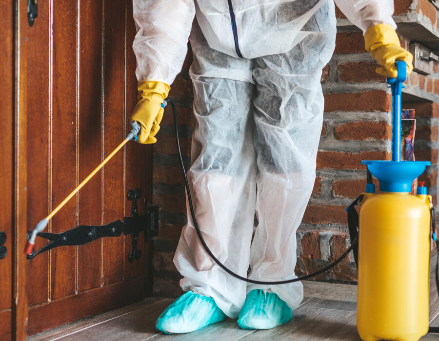 Cockroach Pest Control in Tukwila | Best Services by Pest Control Xpertz