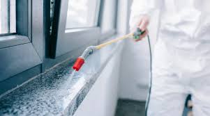 Expert Termite Control Services Near Me | Pest Control Xpertz