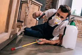 Best Cockroach Pest Control in Fife | Pest Control Xpertz