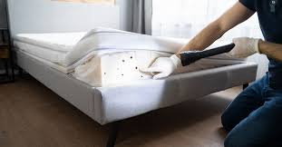 Bed Bug Control Near Me | Pest Control Xpertz Services