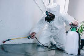 Best Cockroach Pest Control Services in Washington | Pest Control Xpertz