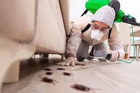 Cockroach Pest Control in Kent | Pest Control Xpertz