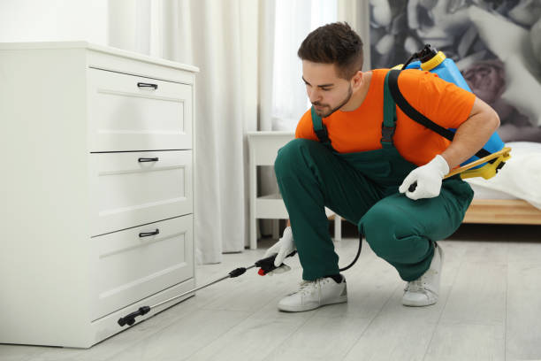Comprehensive Guide to Pest Control in Vancouver: Effective, Eco-Friendly, and Rapid Solutions