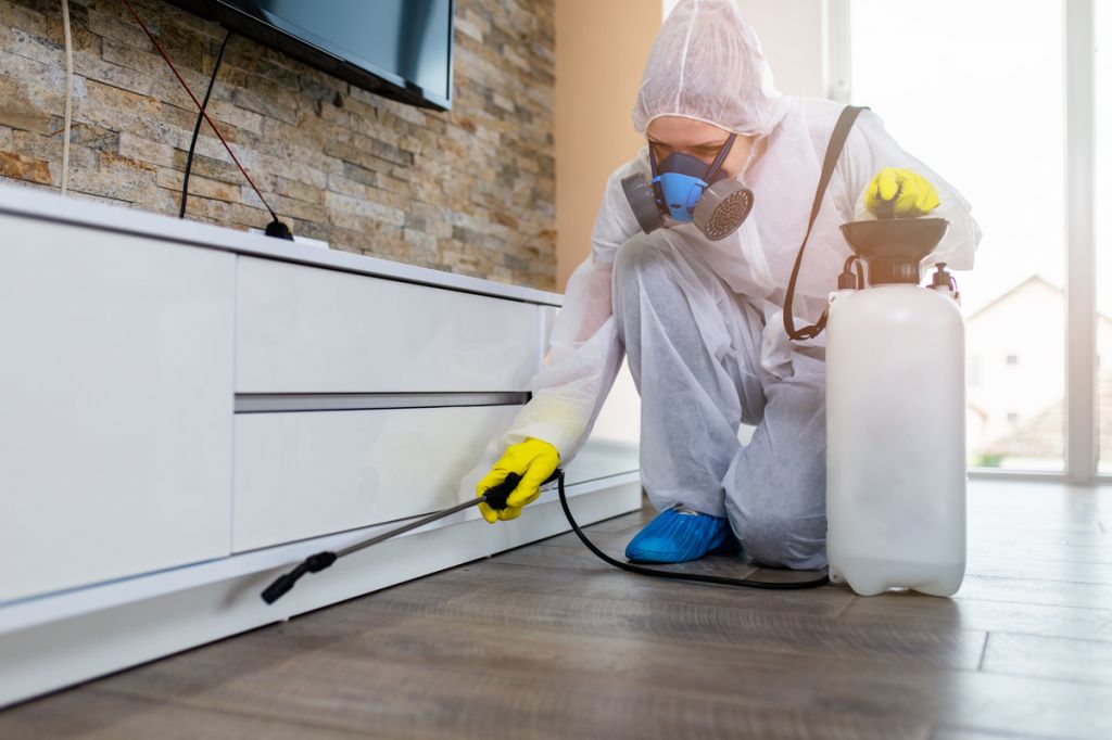 Best Pest Control in Washington: Top Home Pest Control Services by Pest Control Xpertz