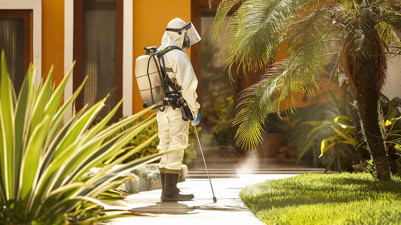 How to keep our home pest free