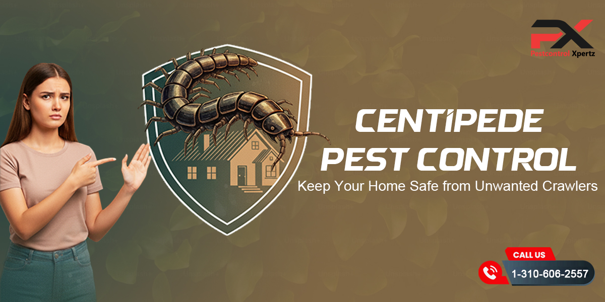 Centipede Pest Control - Keep Your Home Safe from Unwanted Crawlers