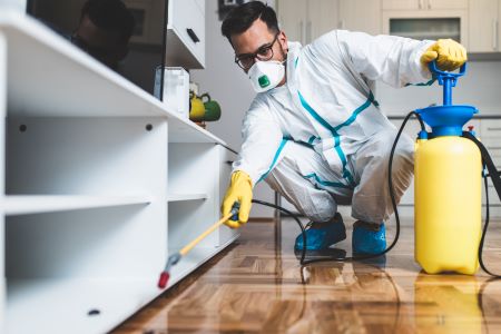 How Do I Keep Spiders Out of My Home?