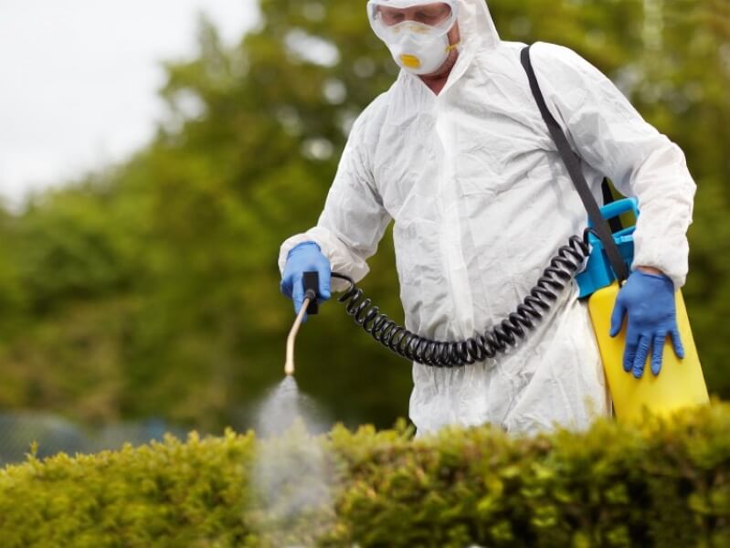 Stinging Pest Control in Kennewick | Pest Control Xpertz