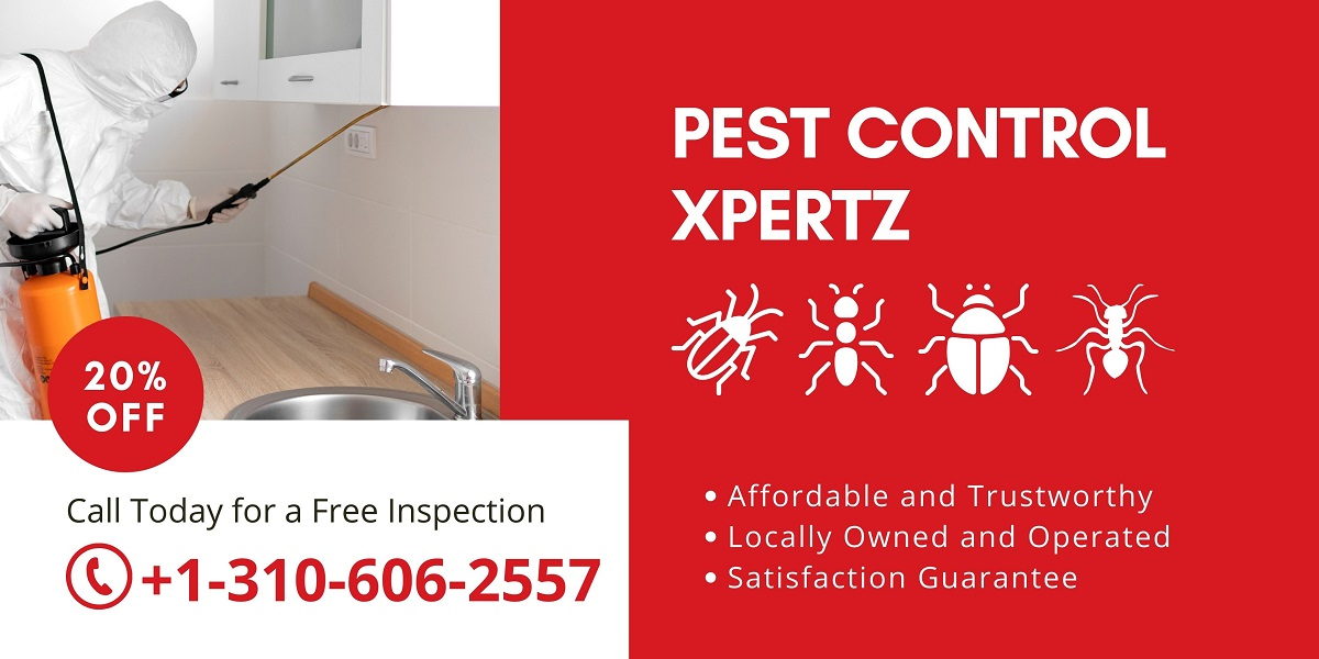What Are Pest Control Services
